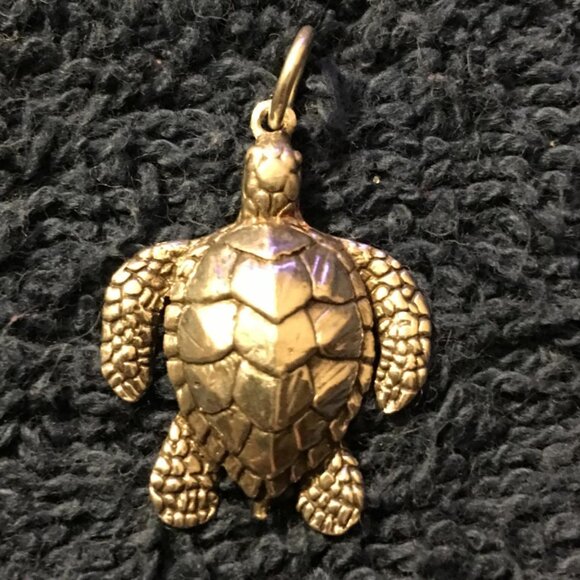 Loggerhead Turtle Pendant in Sterling Silver - Picture 3 of 4